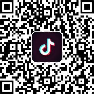 抖音小程序